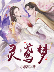 灵鸢梦裴珉时莺文佳佳半夏全本章节阅读_灵鸢梦最新全本小说