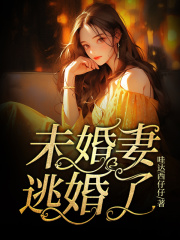 未婚妻逃婚了陆云琛沈念慈周迟江静檀免费阅读_未婚妻逃婚了免费全本