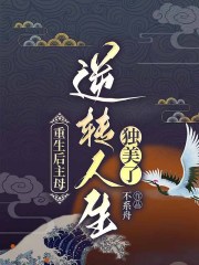 主角是赵诚沈氏赵晚鸳姚司辰的小说_赵诚沈氏赵晚鸳姚司辰免费全本