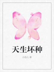 热门小说天生坏种陆安江晦夏美傅浔_天生坏种(陆安江晦夏美傅浔)全本免费阅读