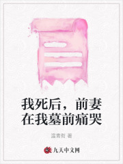 主角是孟书澜顾斯年江景烁孟父的小说_孟书澜顾斯年江景烁孟父最新全本小说