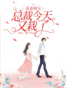 精品推荐_毒妻萌宝：总裁今天又栽了_弱水一瓢_姜然蒋依依厉邵恒丁曼