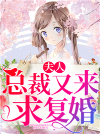 主角是沈念叶承安的小说_沈念叶承安小说免费阅读