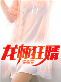 必读小说《龙师狂婿》小说_(主角是陈飞柳柔周梅张狂)龙师狂婿小说免费阅读全文