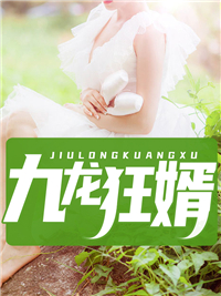 九龙狂婿陈玄宋萍陈蓝蓝刘啸天最新免费_九龙狂婿全本小说