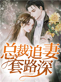 全本小说总裁追妻套路深_总裁追妻套路深(苏童秦寒臻章姐苏圆)全本小说