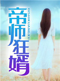 推荐《帝师狂婿》小说_(主角是叶辰夏倾月叶语凝顾南飞)帝师狂婿全文小说