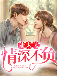免费小说陆太太，情深不负_陆太太，情深不负(秦澜宁城沈城远秦向暖)最新全本小说