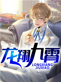 全文免费《龙翔九霄》小说_(主角是沈冲沈风秦如云秦辉)龙翔九霄小说全本