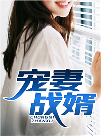 完结小说_宠妻战婿_秦朗陈林于菲王明_都尉Q著