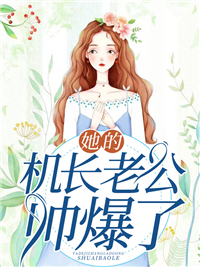 全网爆火《她的机长老公帅爆了！》小说_(主角是盛湛廷宁妍菲米芯)她的机长老公帅爆了！无弹窗大结局