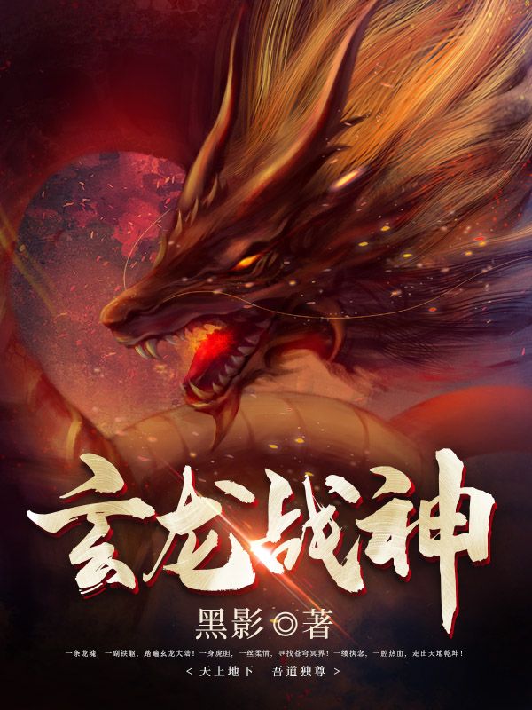玄龙战神沈龙轩沈亮沈剑龙小说无广告_玄龙战神全本免费阅读