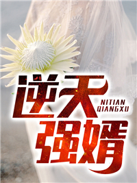 逆天强婿张辰林婉婷林圣韩莉小说全本_逆天强婿小说阅读