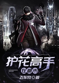 护花高手在都市许林水姐龙图市小说阅读_护花高手在都市免费全本