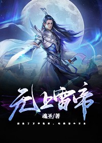 无上雷帝龙天昊雷帝免费阅读_无上雷帝小说阅读