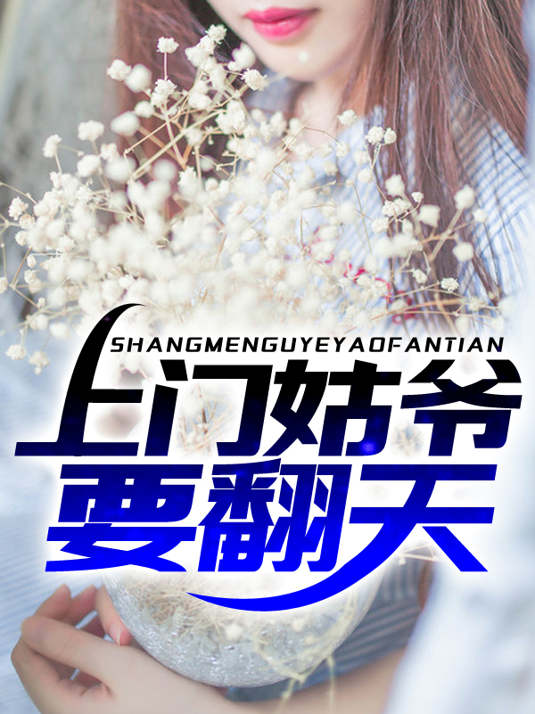 上门姑爷要翻天林乾坤肖子安白梦蝶小说全本_上门姑爷要翻天全文小说