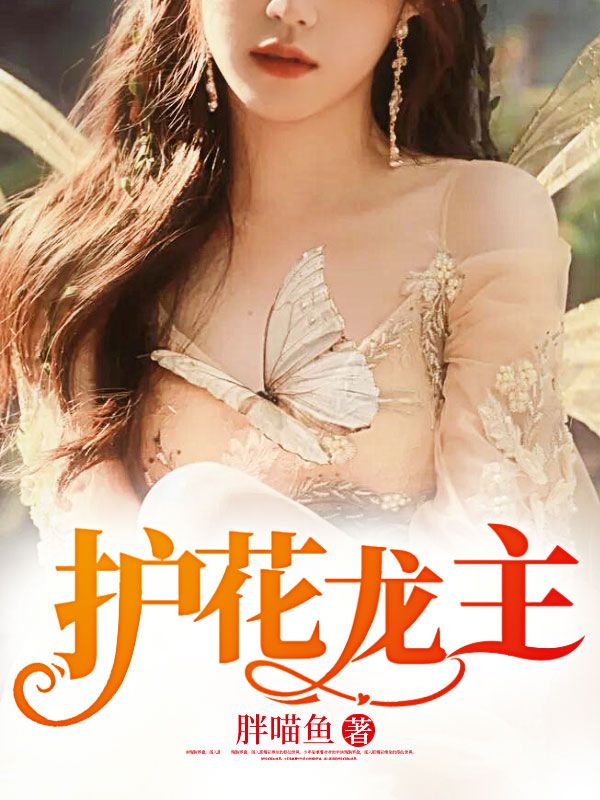 无广告小说《护花龙主》小说_(主角是冯飞李丽娜李长海陆晚晚)护花龙主小说免费阅读