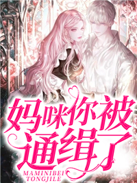 全文小说《妈咪你被通缉了！》小说_(主角是夏辛诺夜薄琛常磊洛心雅)妈咪你被通缉了！免费全本阅读