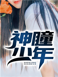 神瞳少年陆沉萧雅丽曾如喜江奥小说阅读_神瞳少年无弹窗大结局
