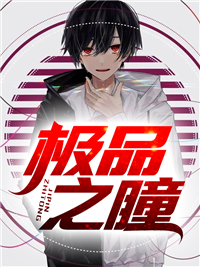 精品推荐《极品之瞳》小说_(主角是宁峰苗苗林富贵王启正)极品之瞳免费小说