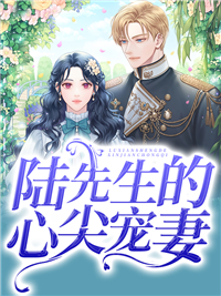陆先生的心尖宠妻_唐溪_南风陆城遇兰姐_连载追更