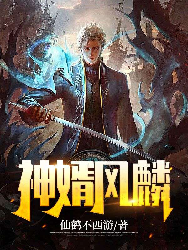 都市_神婿风麟_仙鹤不西游_风麟沈嘉安澜外公