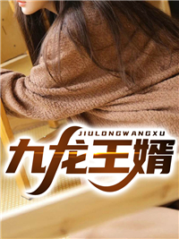 免费小说《九龙王婿》小说_(主角是穆秋林清雪楚朵朵)九龙王婿小说全本章节