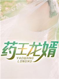 药王龙婿叶辰唐华史丽唐国伟全文小说_药王龙婿小说无广告