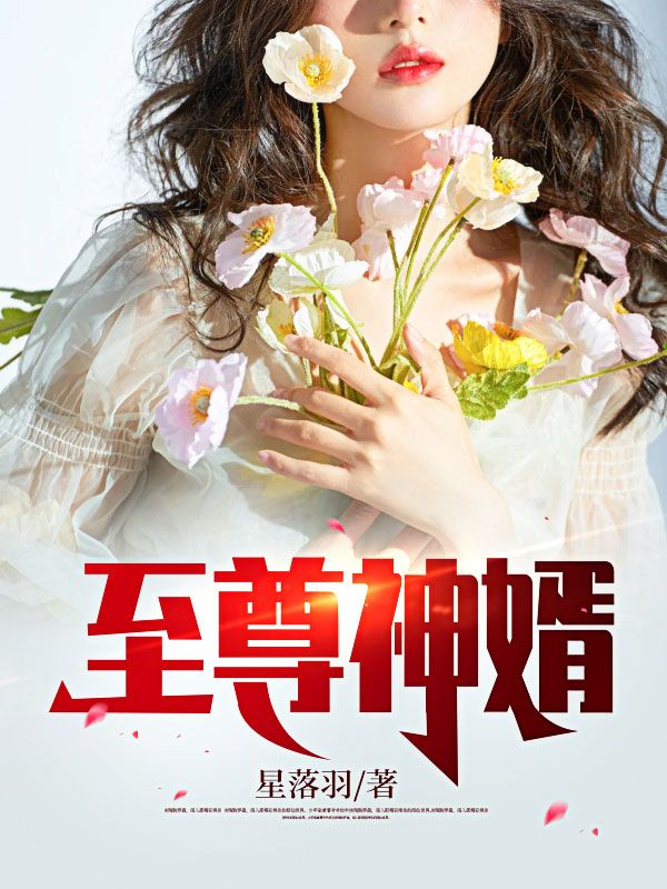 热门推荐《至尊神婿》小说_(主角是叶峰赵家杨秀华赵梦)至尊神婿小说无弹窗