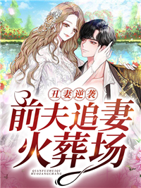 丑妻逆袭：前夫追妻火葬场陆诗画傅司寒宫清颜陆宇辰小说免费阅读全文_丑妻逆袭：前夫追妻火葬场小说无弹窗