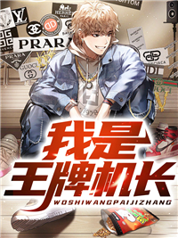 全文小说我是王牌机长_我是王牌机长(林峰黄佳刘长建徐益辰)免费小说