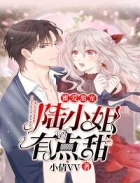 主角是陆漫漫陆兮兮祁修远的小说_陆漫漫陆兮兮祁修远免费全本阅读