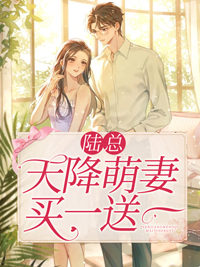 全本小说《陆总，天降萌妻买一送一》小说_(主角是安琪林婉书陆珺彦弟弟)陆总，天降萌妻买一送一小说无弹窗