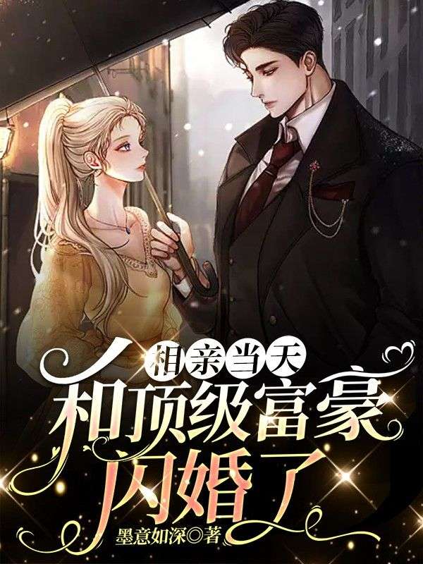 全本小说相亲当天，和顶级富豪闪婚了时鸢霍焱沉周老夫人容珍_相亲当天，和顶级富豪闪婚了(时鸢霍焱沉周老夫人容珍)免费小说