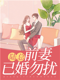 必看小说《陆总，前妻已婚勿扰》小说_(主角是苏伊人陆云霆欧阳莎莎司泓)陆总，前妻已婚勿扰小说无广告