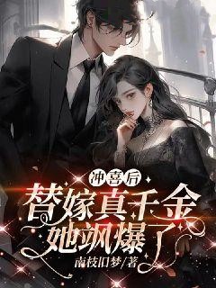 主角是华昭昭沈继章沈禾凝穆辞年的小说_华昭昭沈继章沈禾凝穆辞年全文小说