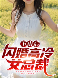 下山后闪婚高冷女总裁叶昊苏冰岚苏国耀岳美云最新小说_下山后闪婚高冷女总裁免费全本