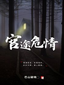 推荐官途危情冯天明江志国陈祖清胡福才_官途危情(冯天明江志国陈祖清胡福才)免费全本阅读